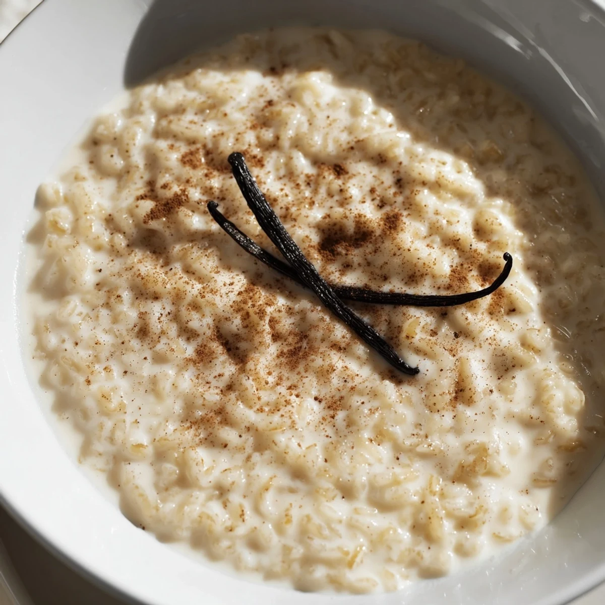 Creamy vanilla & cinnamon rice pudding, a warm bowl of comfort sprinkled with cinnamon.